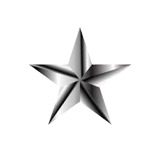 /images/Silver_Star.png